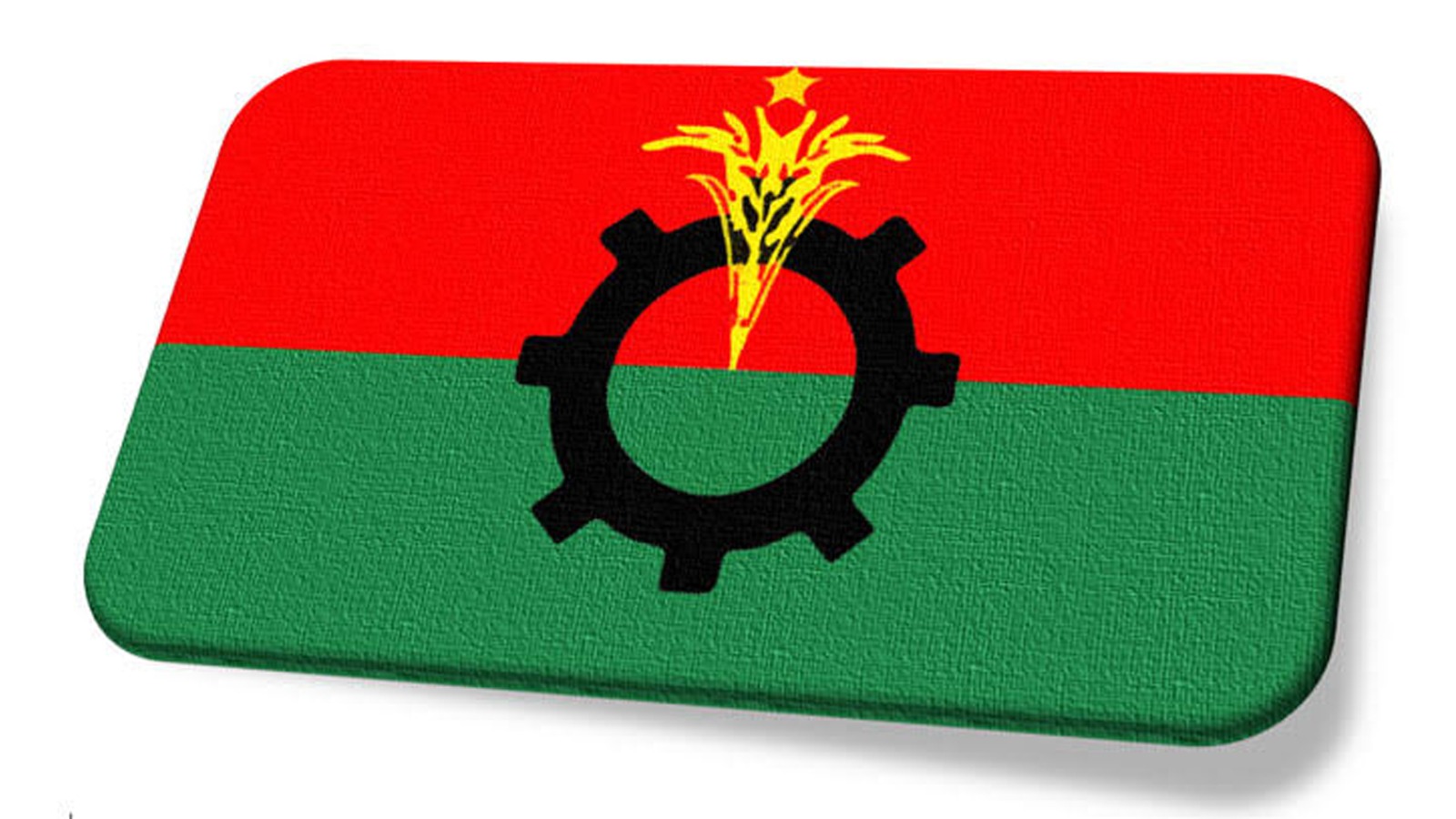 বিএনপি কয়েকটি আসন ছেড়ে দিল শরিকদের জন্য